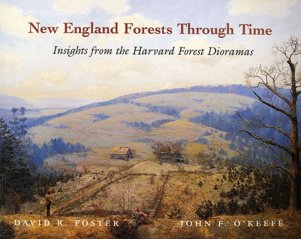 New England Forests Through Time: Insights from the Harvard Forest Dioramas / Edition 1