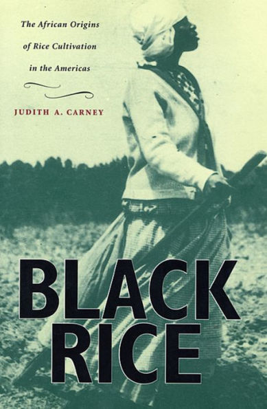 Black Rice: The African Origins of Rice Cultivation in the Americas / Edition 1