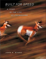 Title: Built for Speed: A Year in the Life of Pronghorn / Edition 1, Author: John A. Byers