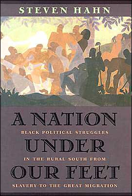 A Nation under Our Feet: Black Political Struggles in the Rural South from Slavery to the Great Migration