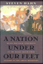 A Nation under Our Feet: Black Political Struggles in the Rural South from Slavery to the Great Migration