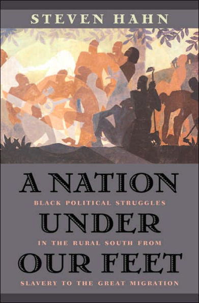 A Nation under Our Feet: Black Political Struggles in the Rural South from Slavery to the Great Migration / Edition 1