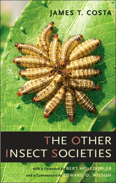 The Other Insect Societies