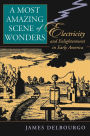 A Most Amazing Scene of Wonders: Electricity and Enlightenment in Early America