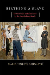 Title: Birthing a Slave: Motherhood and Medicine in the Antebellum South, Author: Marie Jenkins Schwartz