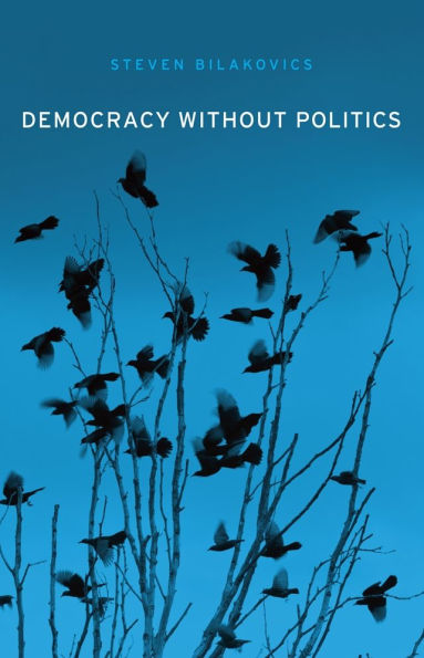 Democracy without Politics