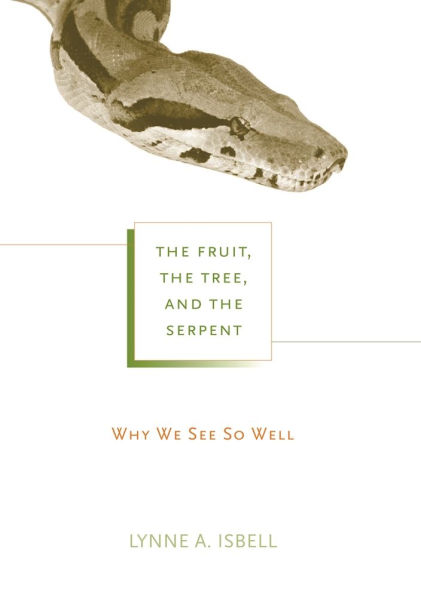 The Fruit, the Tree, and the Serpent: Why We See So Well