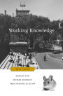 Working Knowledge: Making the Human Sciences from Parsons to Kuhn