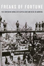 Freaks of Fortune: The Emerging World of Capitalism and Risk in America