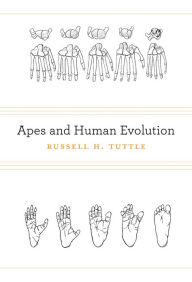 Title: Apes and Human Evolution / Edition 1, Author: Russell H. Tuttle