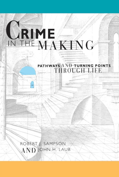 Crime in the Making: Pathways and Turning Points through Life / Edition 1