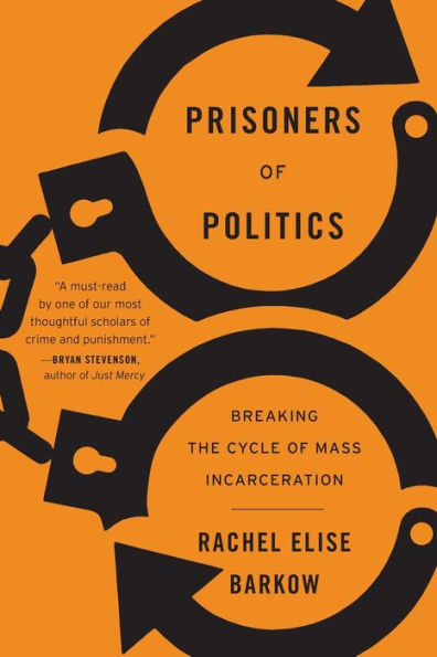 Prisoners of Politics: Breaking the Cycle Mass Incarceration