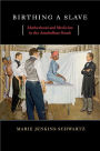 Birthing a Slave: Motherhood and Medicine in the Antebellum South