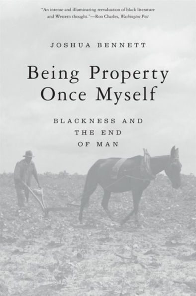 Being Property Once Myself: Blackness and the End of Man