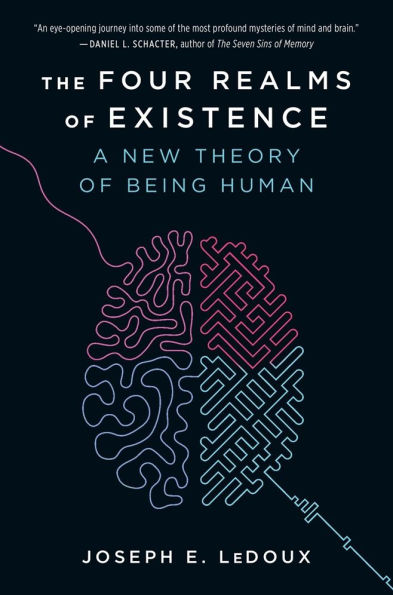 The Four Realms of Existence: A New Theory of Being Human