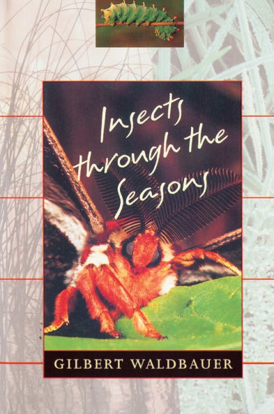 Insects through the Seasons