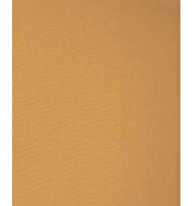 The Insect Societies