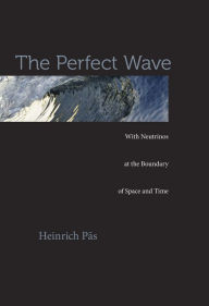 Title: The Perfect Wave, Author: Heinrich Päs