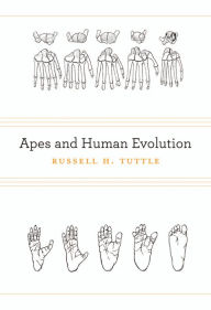 Title: Apes and Human Evolution, Author: Russell H. Tuttle