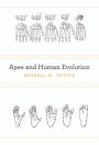 Apes and Human Evolution