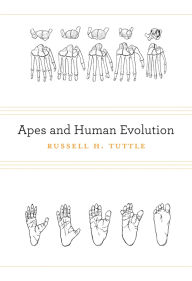 Title: Apes and Human Evolution, Author: Russell H. Tuttle
