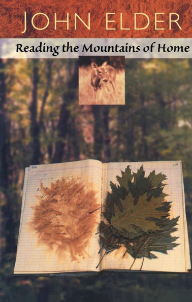 Reading the Mountains of Home