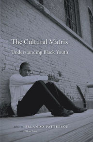 Title: The Cultural Matrix: Understanding Black Youth, Author: Orlando Patterson