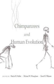 Title: Chimpanzees and Human Evolution, Author: Martin N. Muller