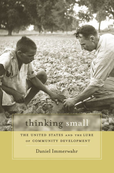 Thinking Small: the United States and Lure of Community Development