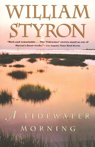 Title: A Tidewater Morning: Three Tales from Youth, Author: William Styron