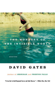 Title: The Wonders of the Invisible World, Author: David Gates