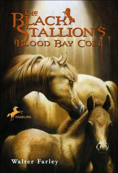 The Black Stallion's Blood Bay Colt: (Reissue)