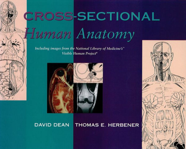 Cross-Sectional Human Anatomy / Edition 1