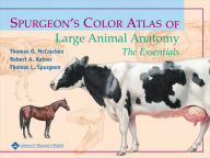 Title: Spurgeon's Color Atlas of Large Animal Anatomy: The Essentials / Edition 1, Author: Thomas O. McCracken