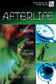 Title: 20/30 Bible Study for Young Adults Afterlife: Finding Hope Beyond Death, Author: David A. deSilva