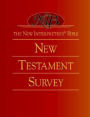 The New Interpreter's(r) Bible New Testament Survey