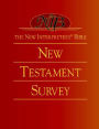 Alternative view 2 of The New Interpreter's(r) Bible New Testament Survey