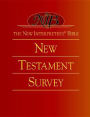 Alternative view 3 of The New Interpreter's(r) Bible New Testament Survey