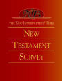 Alternative view 4 of The New Interpreter's(r) Bible New Testament Survey