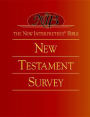 Alternative view 5 of The New Interpreter's(r) Bible New Testament Survey