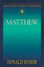 Matthew: Abingdon New Testament Commentaries