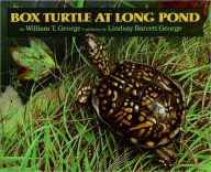 Title: Box Turtle at Long Pond, Author: William T. George