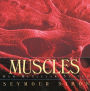 Muscles: Our Muscular System