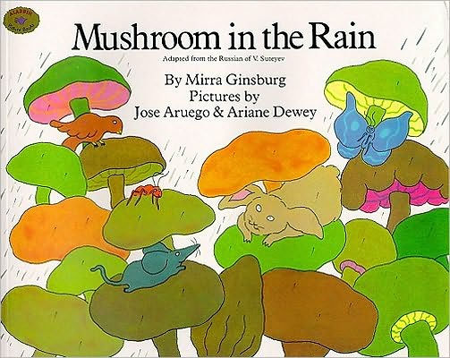 Mushroom the Rain