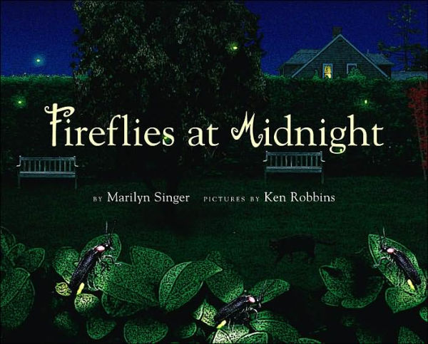 Fireflies at Midnight