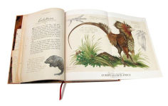 Alternative view 4 of Arthur Spiderwick's Field Guide to the Fantastical World around You (Spiderwick Chronicles Series)