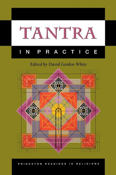 Tantra in Practice / Edition 1