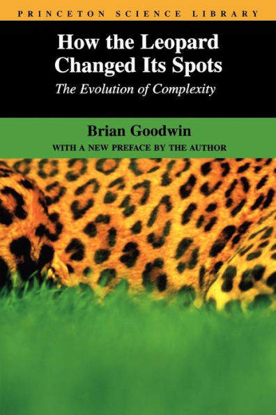 How the Leopard Changed Its Spots: The Evolution of Complexity