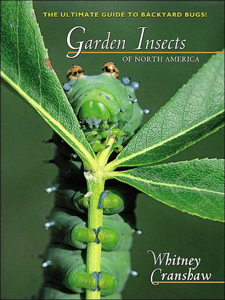 Garden Insects of North America: The Ultimate Guide to Backyard Bugs / Edition 1