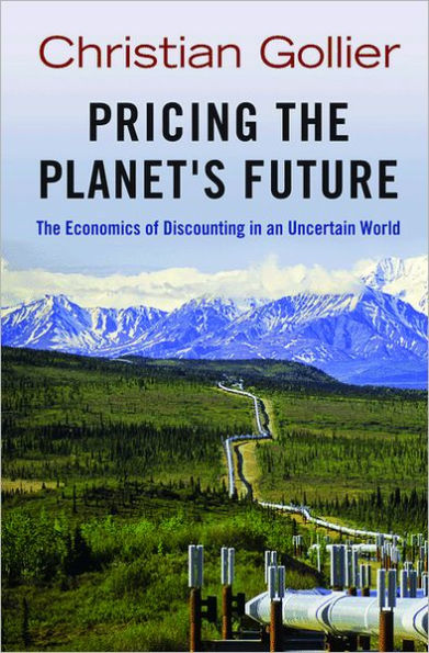 Pricing The Planet's Future: Economics of Discounting an Uncertain World